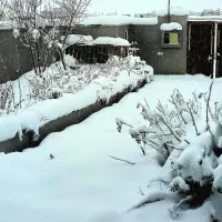 زمین-مسکونی-محسن-اباد-برخوار