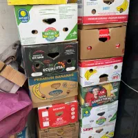 کارتن موزی سالم