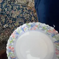 بشقاب