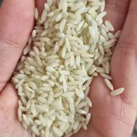 برنج لنجان درجه یک