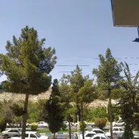 یک-خواب-اداری-پاسداران