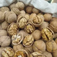 گردو و مغز گردو،پسته مغز پسته