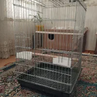 قفس بزرگ طوطی سانان|لوازم جانبی حیوانات|اردکان, |دیوار