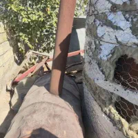 کوره زغال پزی صنعتی|ماشینآلات صنعتی|شهر بابک, |دیوار