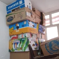 کارتون موز