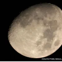 دوربین سوپرزوم نیکون P1000 با 125X زوم|دوربین عکاسی و فیلمبرداری|بندرعباس, |دیوار