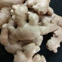قهوه،زنجبیل ،عمده،طالخونچه،مبارکه