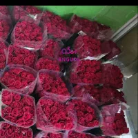 فروش گل عمده
