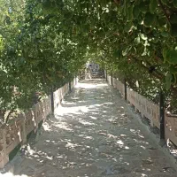 باغ-500-متری-زازران