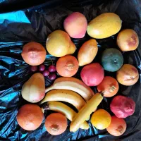 میوه مصنوعی