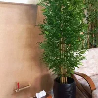 برگ بامبو بسته ۳۶ عددی و درختچه|گل مصنوعی|کرج, گلشهر|دیوار