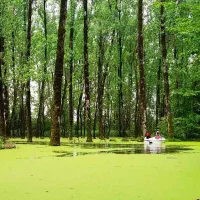 تور رشت ریلی 5* ویژه اذرماه