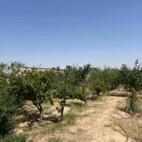 200جریب چاه گلخانه گاوداری باپروانه مرغداری کارخان|فروش دفتر صنعتی، کشاورزی، تجاری|میمه, |دیوار