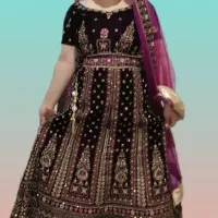 ساری دامن هندی