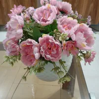 راهنمایی همخونه