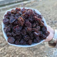 آلو|خوردنی و آشامیدنی|سنندج, |دیوار