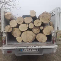 خرید چوب درختی