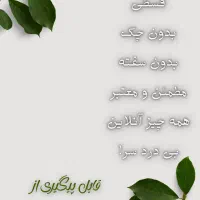 بیمه شخص ثالث نقد و اقساط،بدنه،تکمیلی،مسئولیت و|خدمات مالی، حسابداری، بیمه|تهران, بیسیم|دیوار
