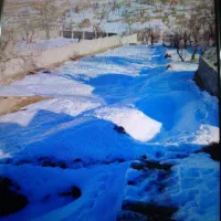 فروش-باغ-و-زمین