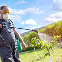 سمپاش زنبه ای|ماشین‌آلات صنعتی|کرمان, |دیوار