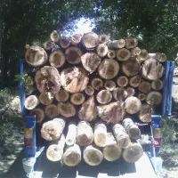 خریدار تیرسقفی چوب خشک و ترو ضایعات بریدن