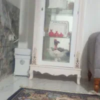 ویترین جادستمال کاغذی سطل اشغالی
