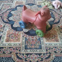 پمپ بنزین و وسایل بازی|اسباب‌‌بازی|سبزوار, مدرس|دیوار