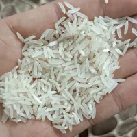 برنج فجر سوزنی