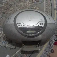 ظبت