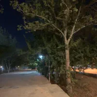 مسکن-ملی