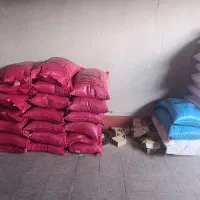 بذر مادری گندم سحر