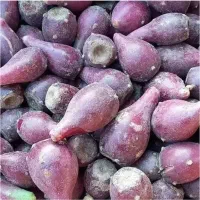 میوه کاکتوس/ ارسال رایگان