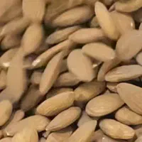 بادام تازه|خوردنی و آشامیدنی|تهران, اسکندری|دیوار