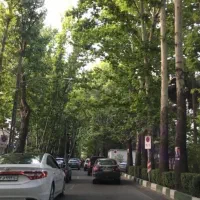 ۲۵ متر مغازه ستارخان (پر تردد)