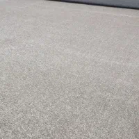 موکت ضخیم پالاز|موکت|تهران, فلسطین (میدان انقلاب)|دیوار