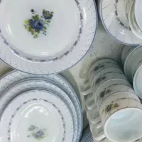 آرکوپال ارکوپیرکس خارجی