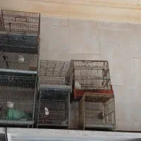 قفس پرنده