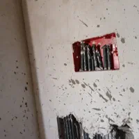 دزدگیر اماکن برق کاری