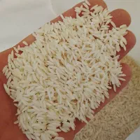 برنج هاشمی یک دست اّلّک شده
