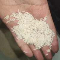 برنج طارم هاشمی بدون ریز