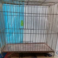 قفس پرنده فروشی
