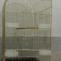 قفس عروس هلندی به قیمت تعاونی