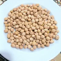 نخود بوکسو ترکیه