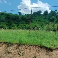 جو رشه