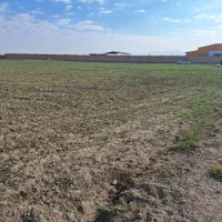 شریک برای احداث گلخانه|مشارکت در ساخت املاک|همدان, |دیوار