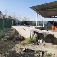 فروش زمین ۳۰۰ متری در فیروز بهرام|فروش زمین و ملک کلنگی|تهران, شهرک طالقانی|دیوار