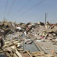 خرید و فروش ضایعات چوب و پالت چوبی