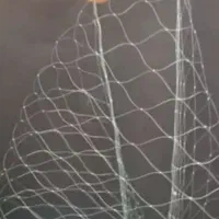 تور قبادی در حد صفر فقط چند روز دریا رفته