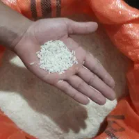 برنج هاشمی
