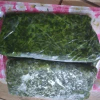 توله تروتازه|خوردنی و آشامیدنی|مسجد سلیمان, |دیوار